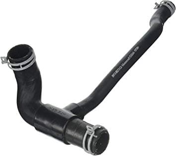 Lower Radiator Hose