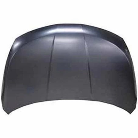 Panel Assembly Hood